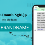 31 150x150 - Dịch vụ voice brandname - cuộc gọi hiển thị tên doanh nghiệp